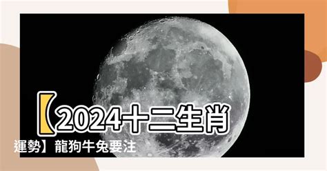 2024什麼生肖